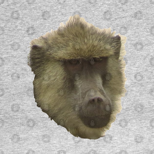 Baboon Monkey Portrait by ellenhenryart